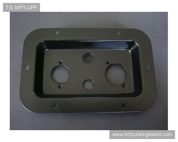 尊龙登录入口首页：多设备登录支持与账号安全保障措施介绍